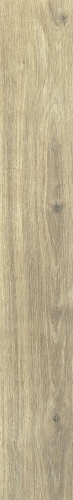 Beeld uit collectie Planches de Rex