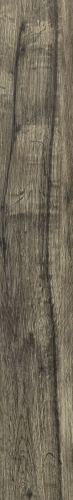 Beeld uit collectie Planches de Rex